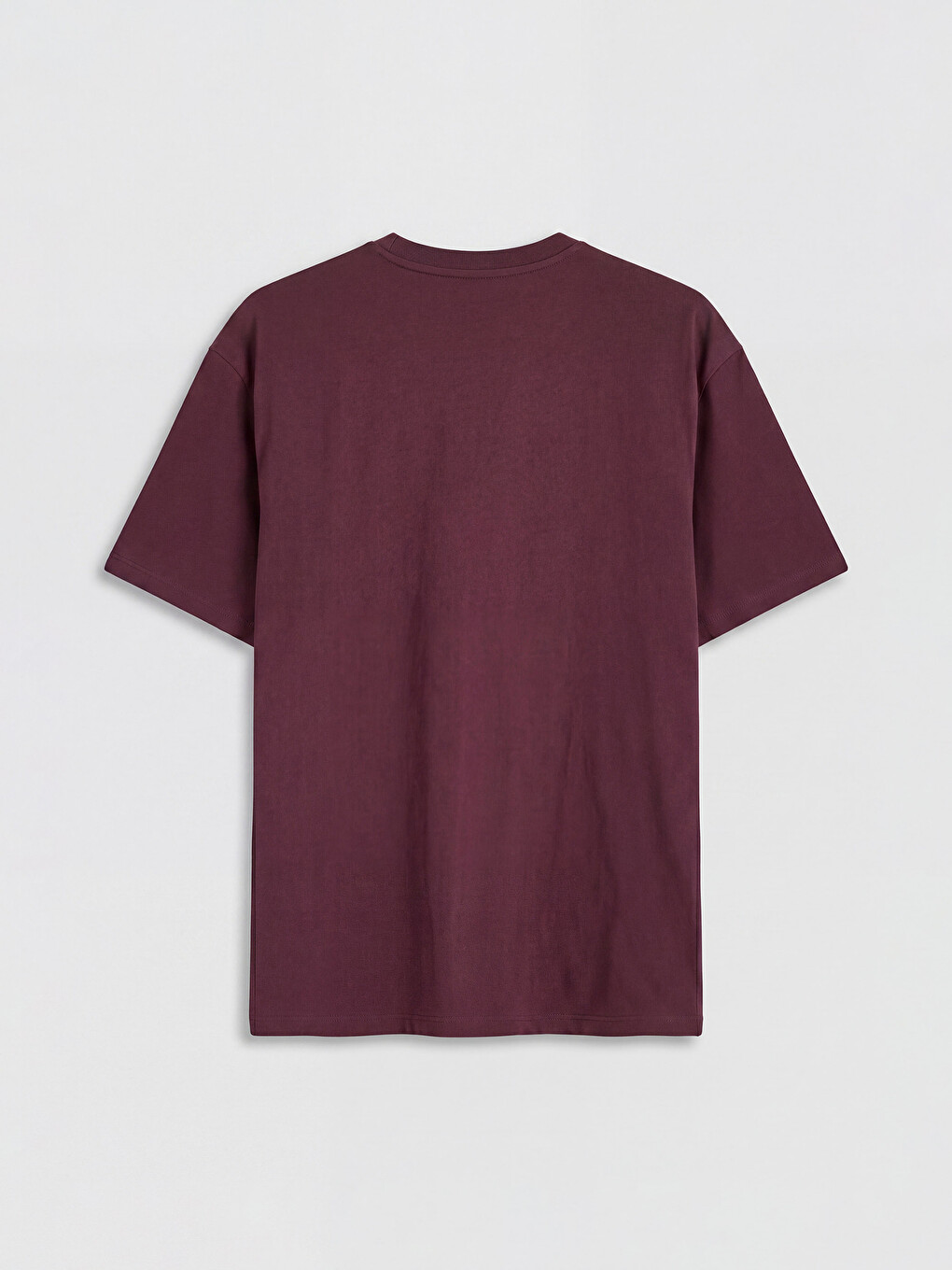 Mürdüm Loose Fit Bisiklet Yaka Erkek Tişört-5