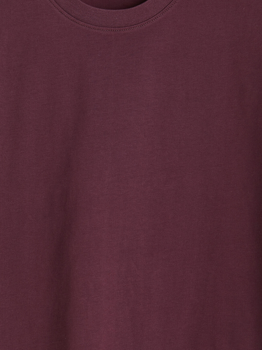 Mürdüm Loose Fit Bisiklet Yaka Erkek Tişört-6