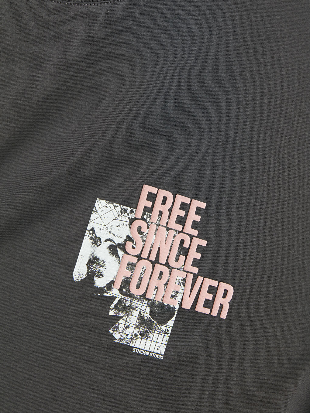 Antrasit Bisiklet Yaka Baskılı Erkek Tişört-2