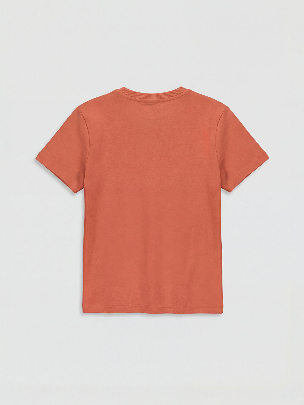 Crew Neck Boys' T-Shirt 2 Pack-2