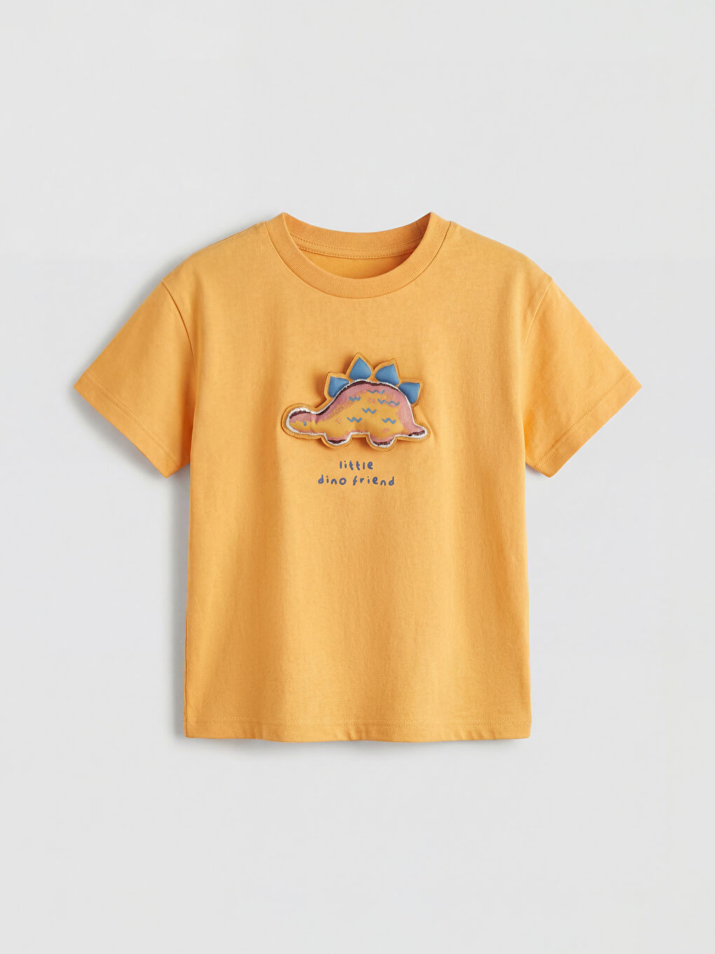 Dinosaur Embroidered Baby Boys' Set-1