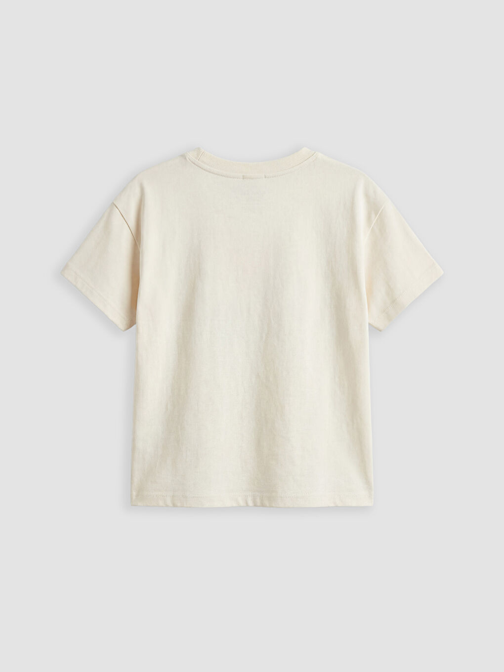 Ekru Dinozor Aplikeli Erkek Bebek Takım-2