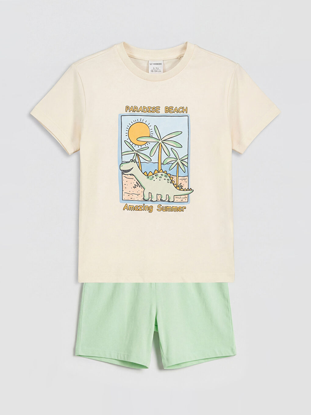 Dinosaur Print Baby Boys' T-Shirt and Shorts