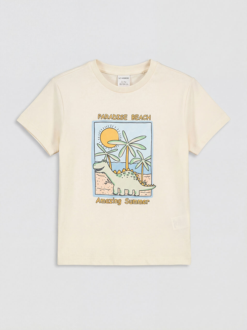 Dinosaur Print Baby Boys' T-Shirt and Shorts-1