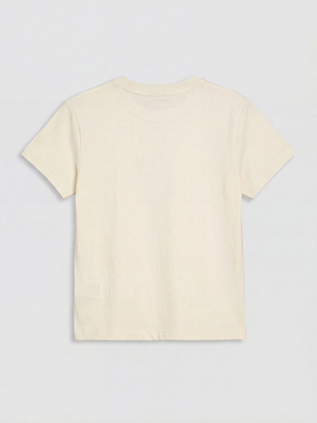 Dinosaur Print Baby Boys' T-Shirt and Shorts-2