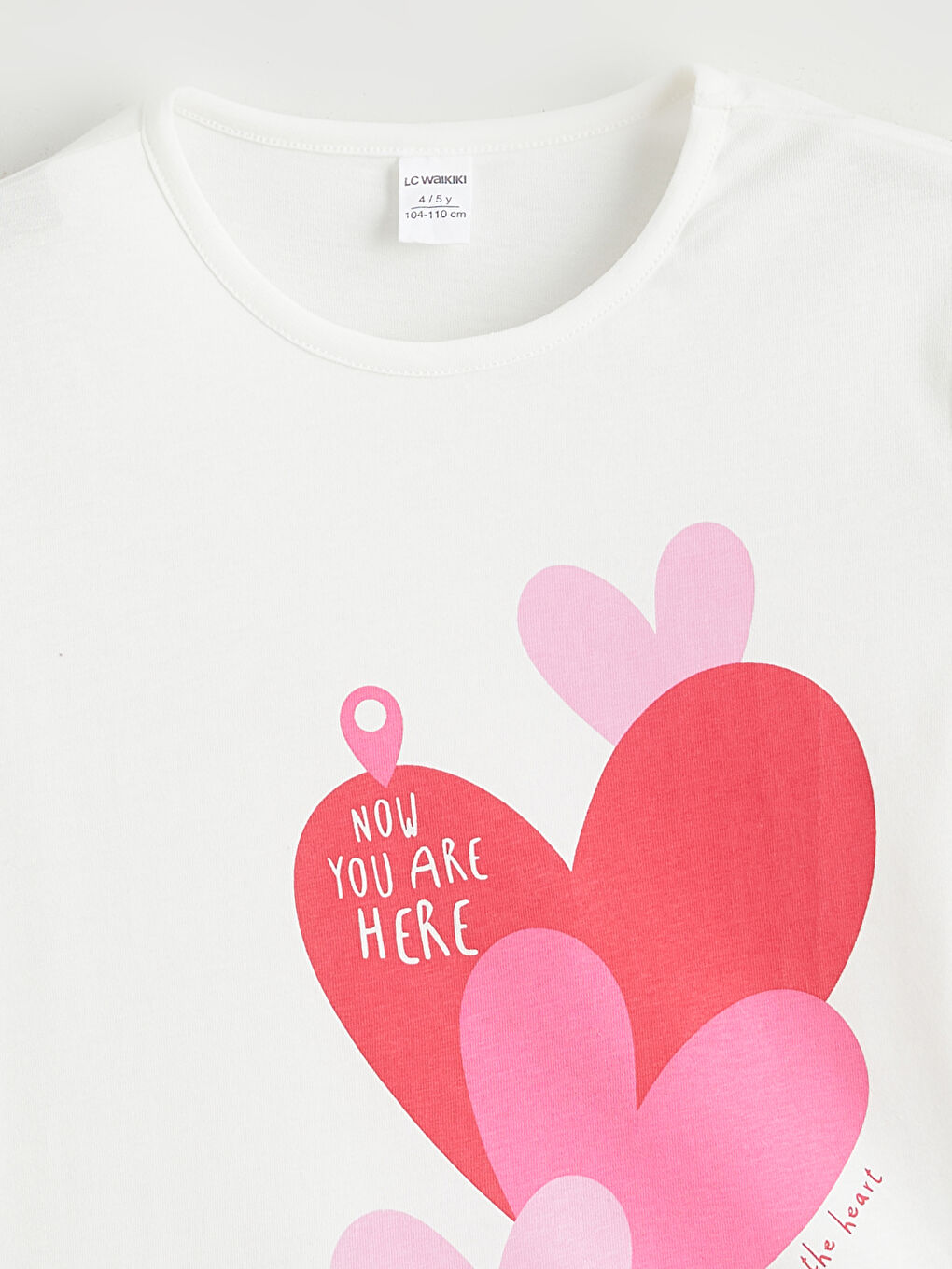 Crew Neck Printed Girls' T-Shirt-1