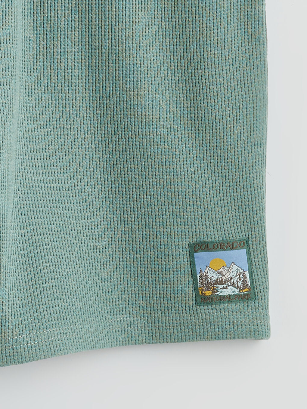 Yeşil Standart Kalıp Erkek Şort-5