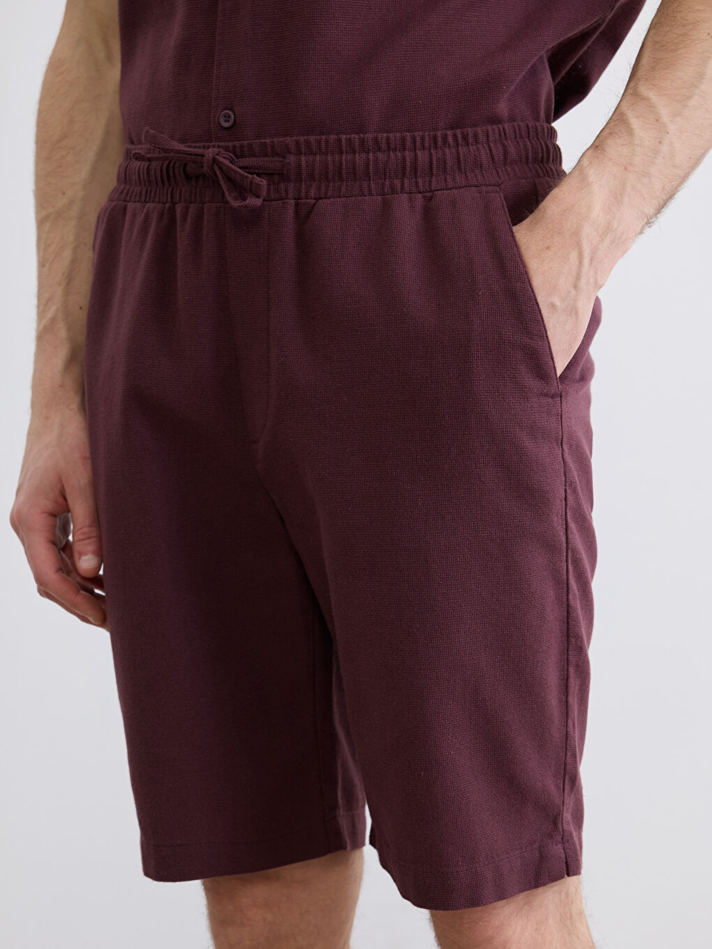 Mürdüm Regular Fit Erkek Şort-2