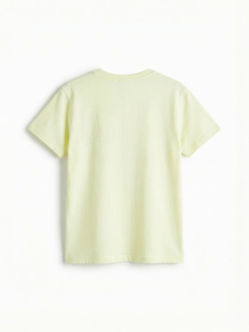 Yeşil Bisiklet Yaka Dinozor Baskılı Erkek Çocuk Tişört-1