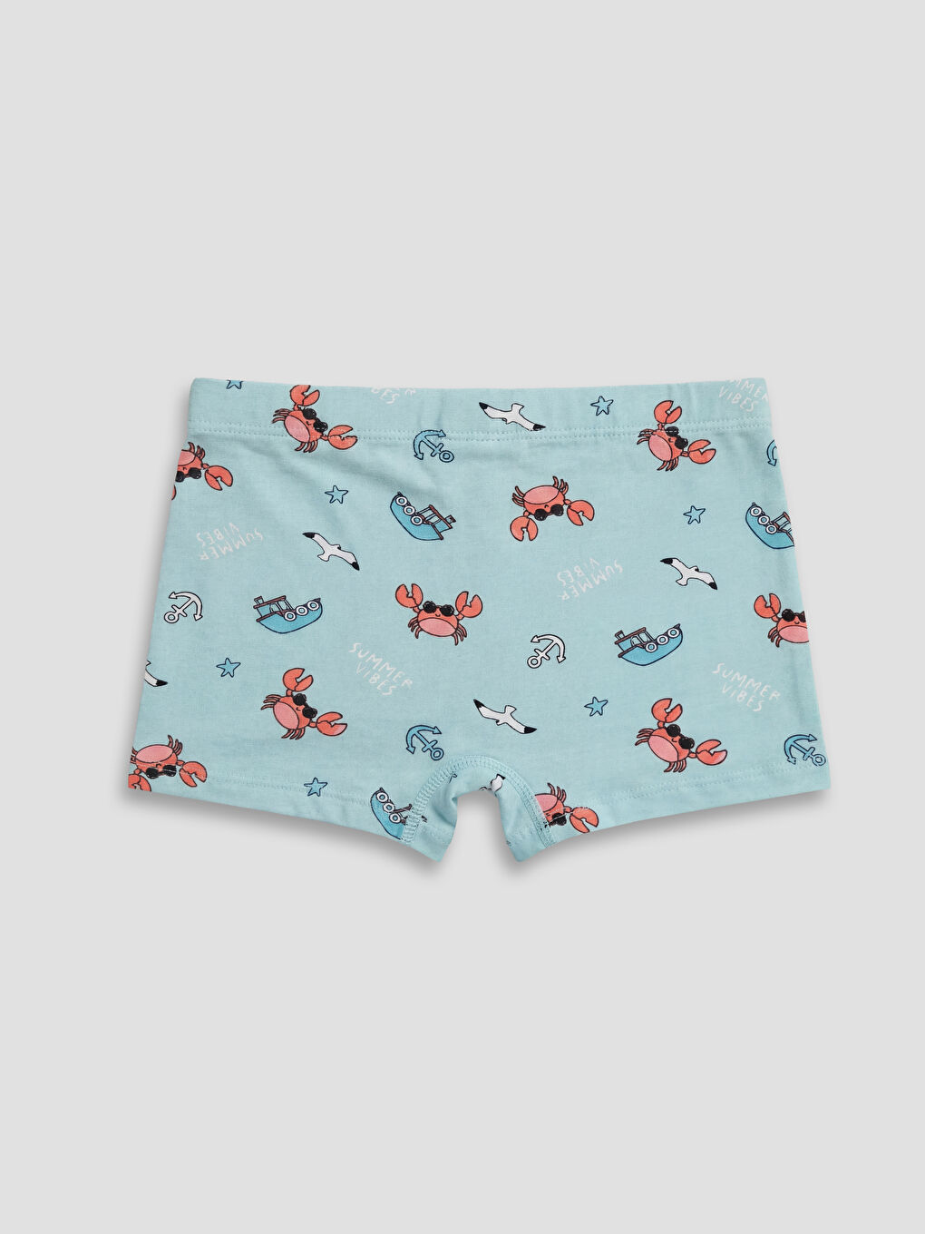 Boy BLUE Boxer Briefs-2