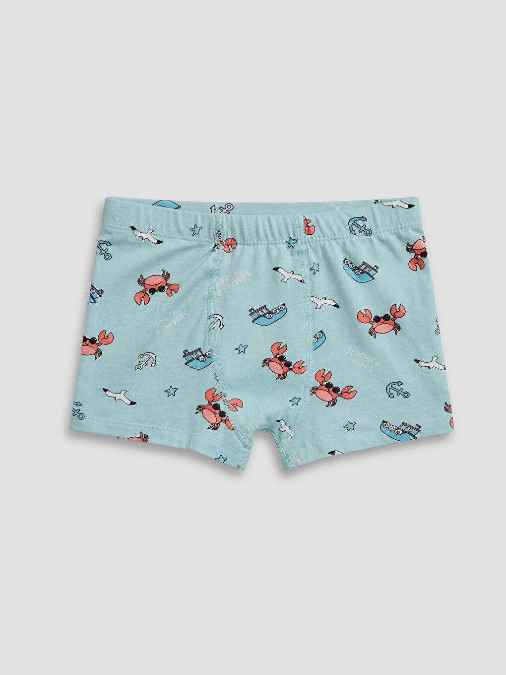 Boy BLUE Boxer Briefs-3