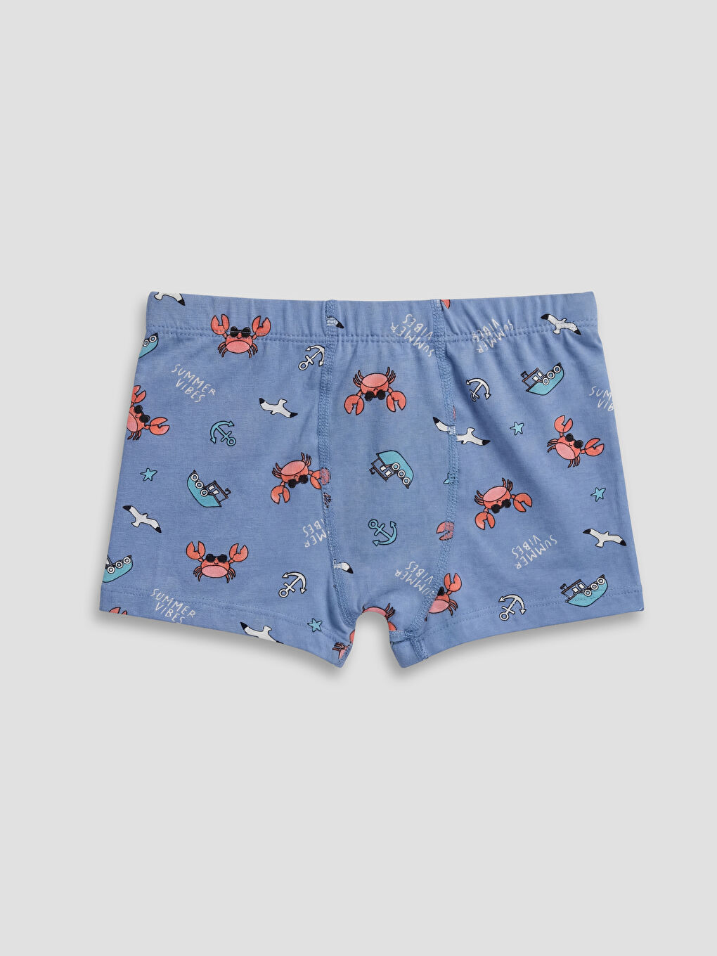 Boy BLUE Boxer Briefs-6