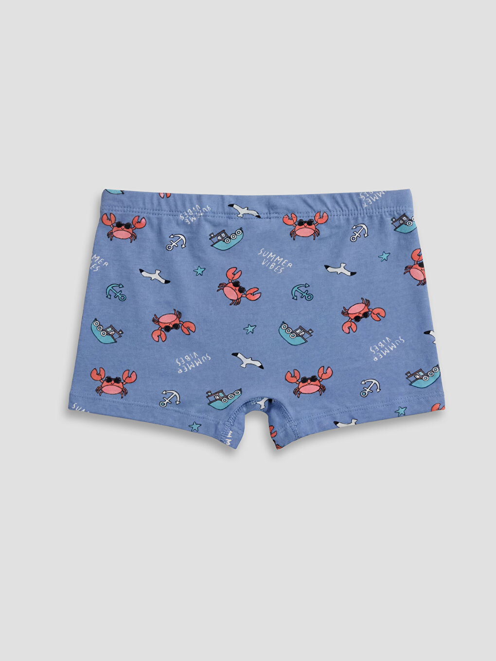 Boy BLUE Boxer Briefs-7