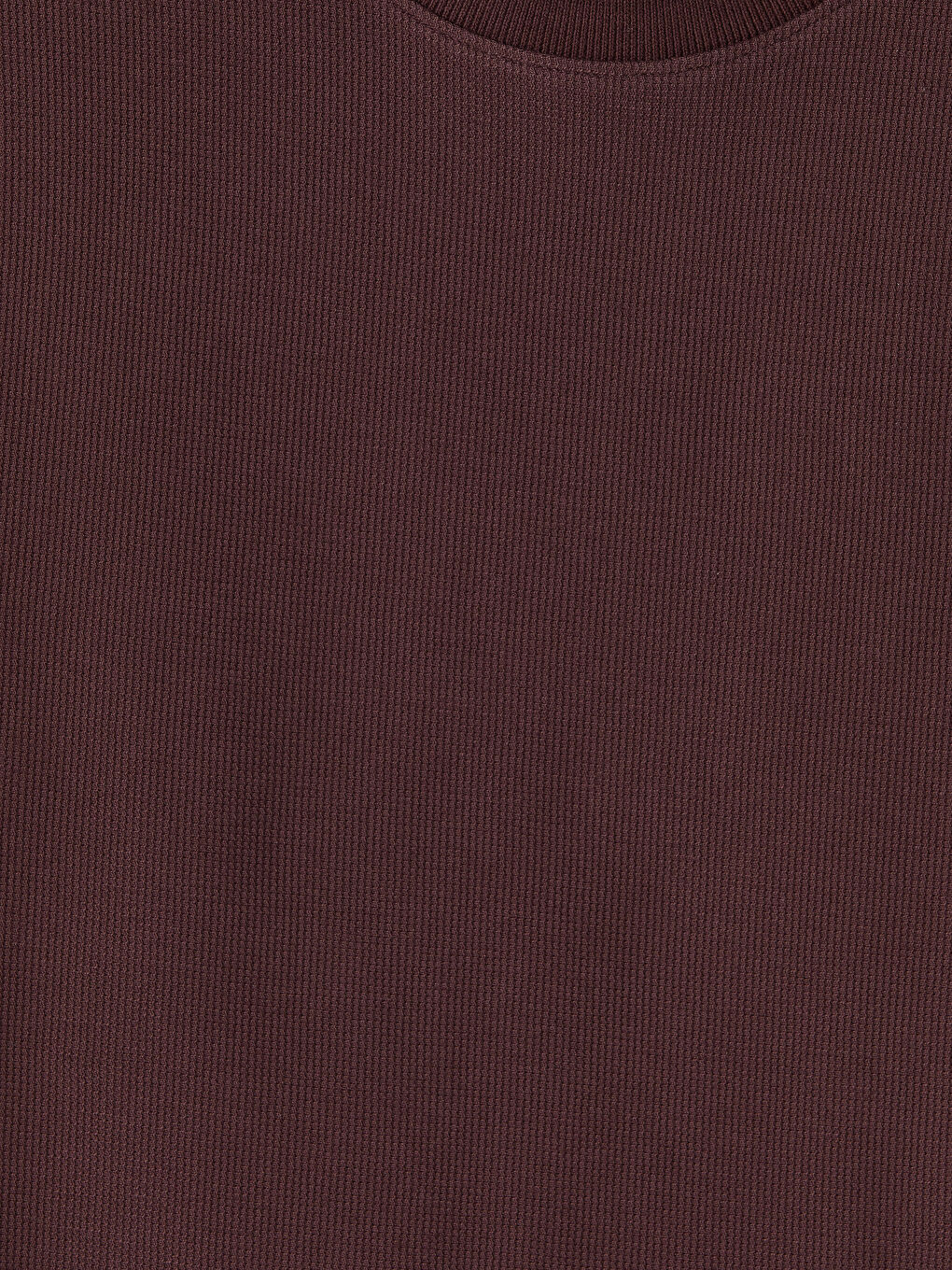 Bisiklet Yaka Erkek Tişört-2