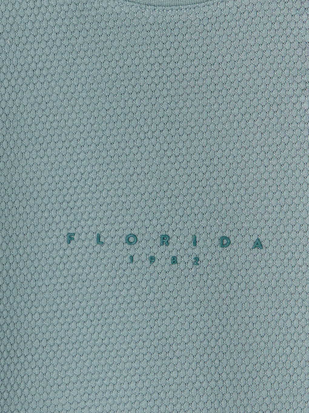 Mavi Standart Kalıp Florida Baskılı Erkek Şortlu Pijama Takımı-9