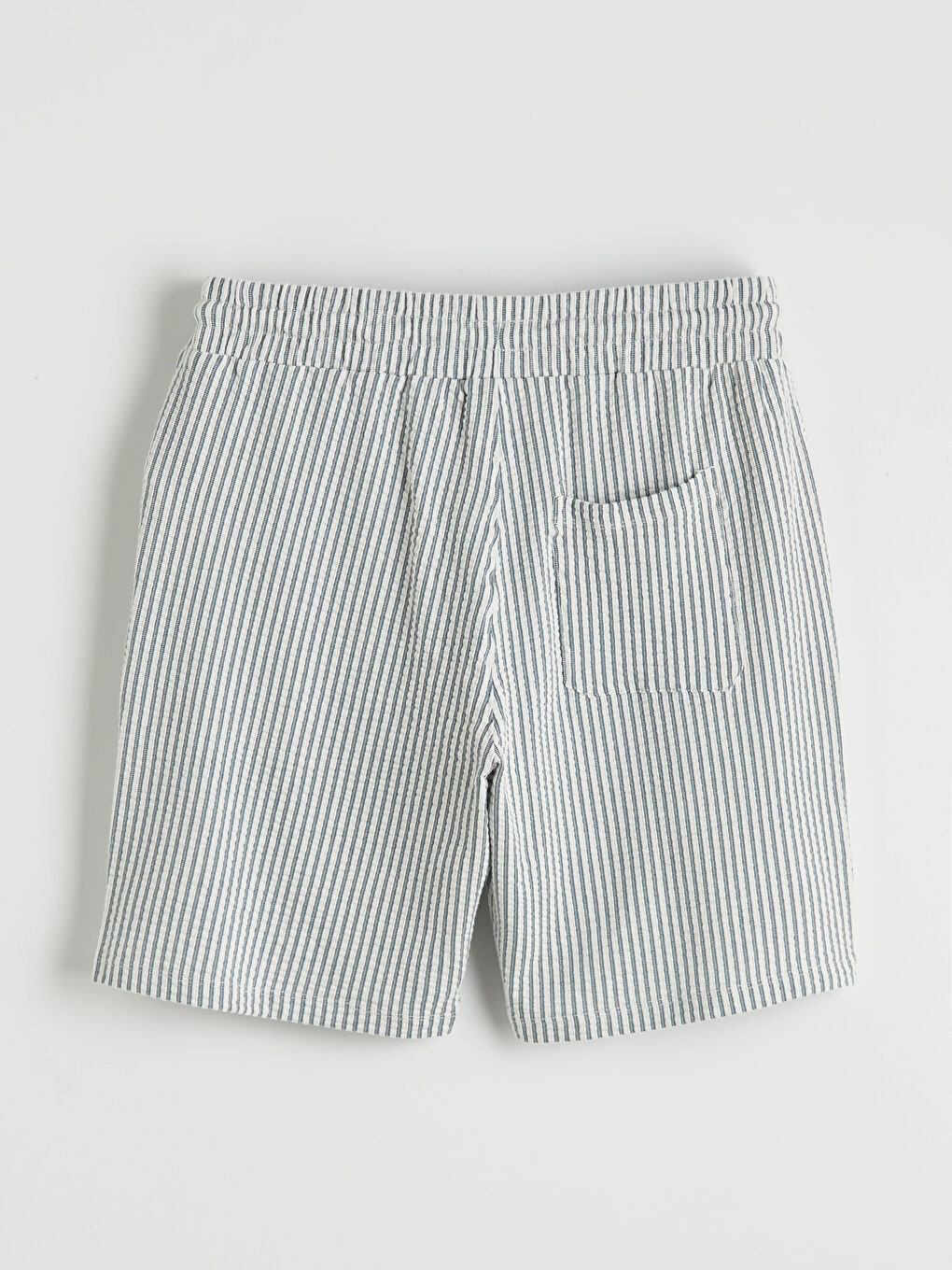 Regular Fit Striped Men's Shorts-4
