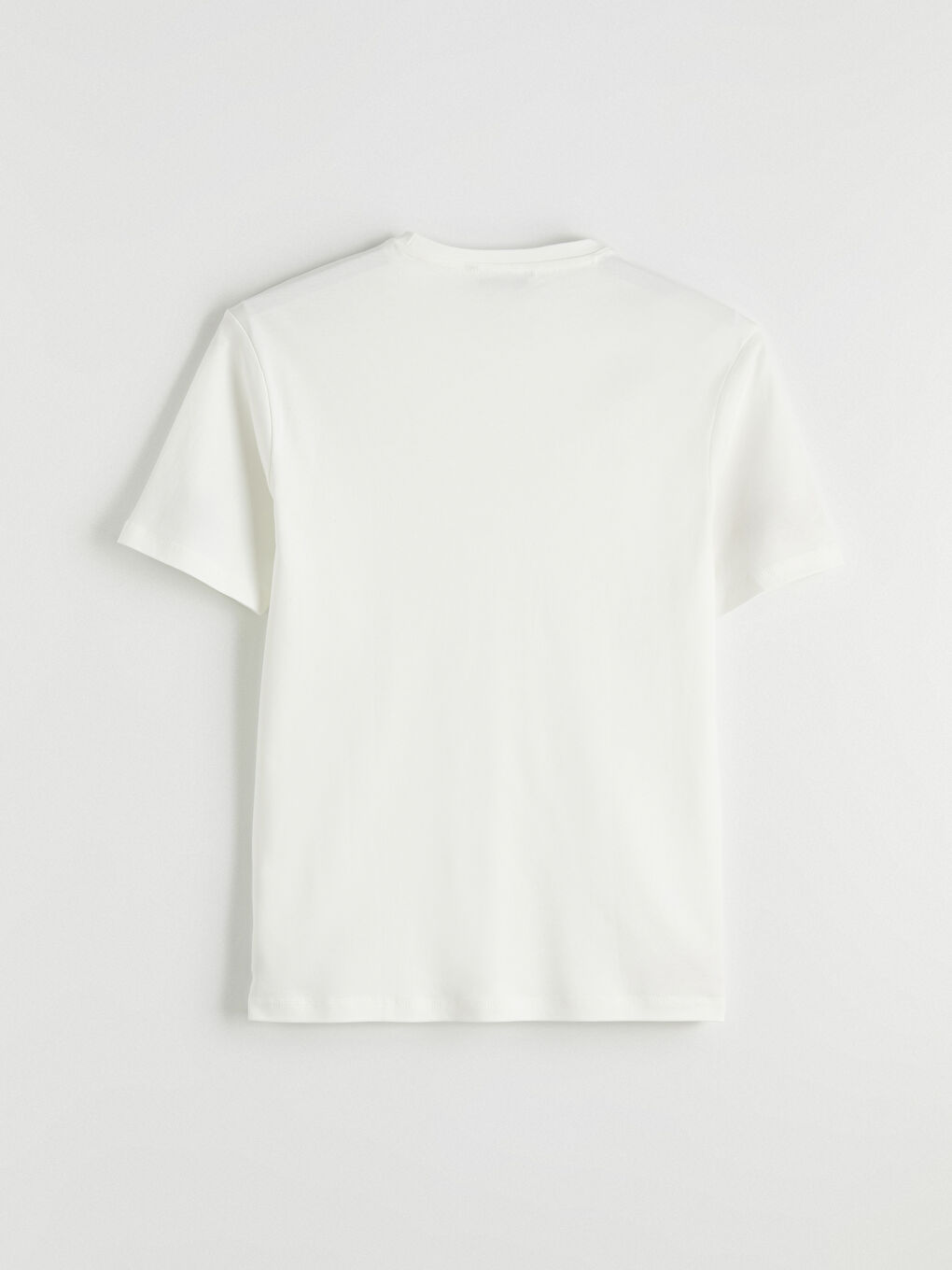 Ekru Bisiklet Yaka Standart Fit Erkek Tişört-2