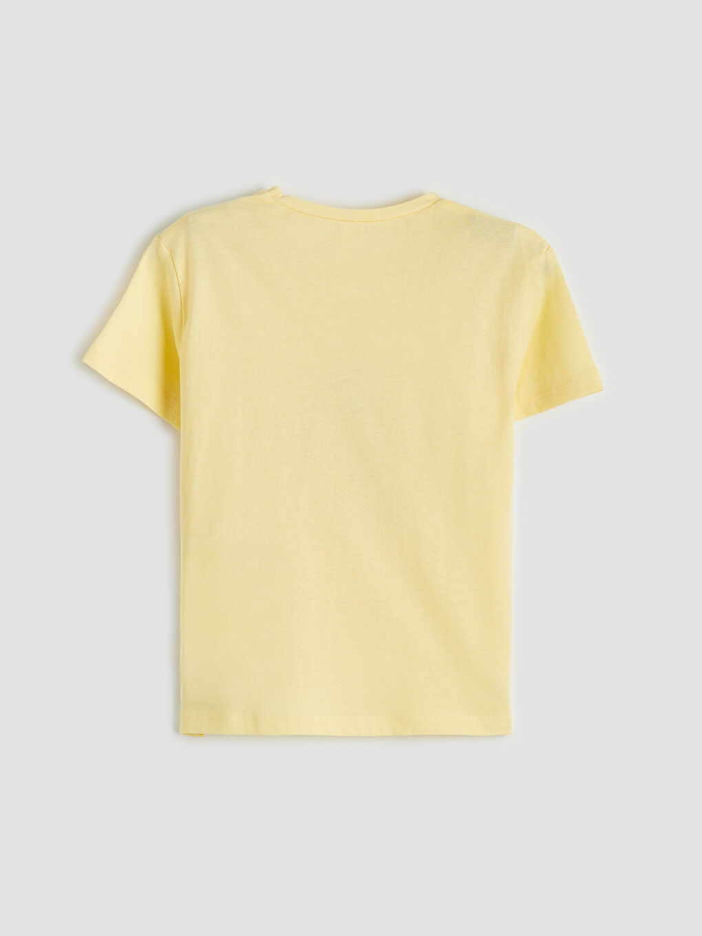 Crew Neck Printed Girls' T-Shirt 2 Pack-3