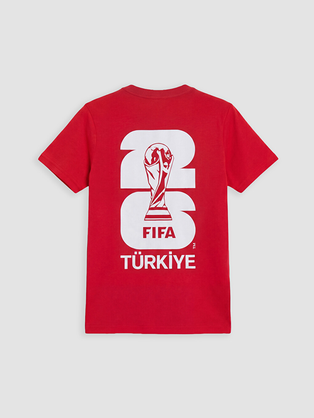 Crew Neck FIFA Printed Boys' T-Shirt-2