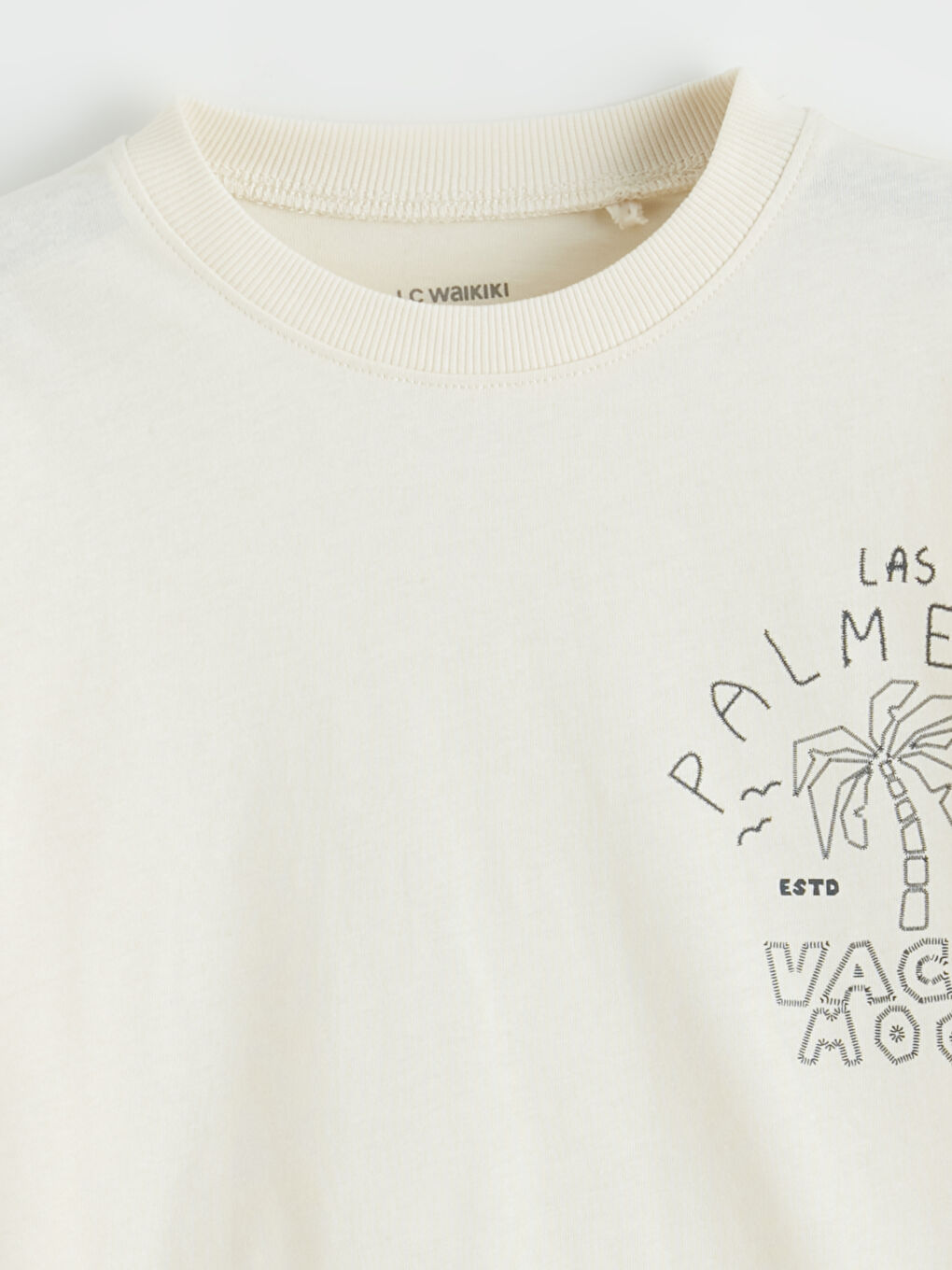 Bej Baskılı Erkek Çocuk Şortlu Takım-2