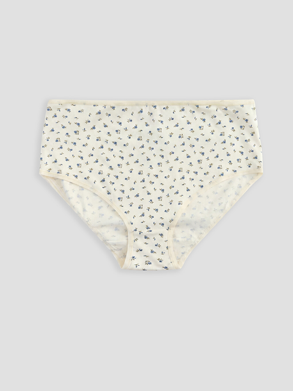Γυναίκα Εκρου Ψηλόμεση Knickers-3