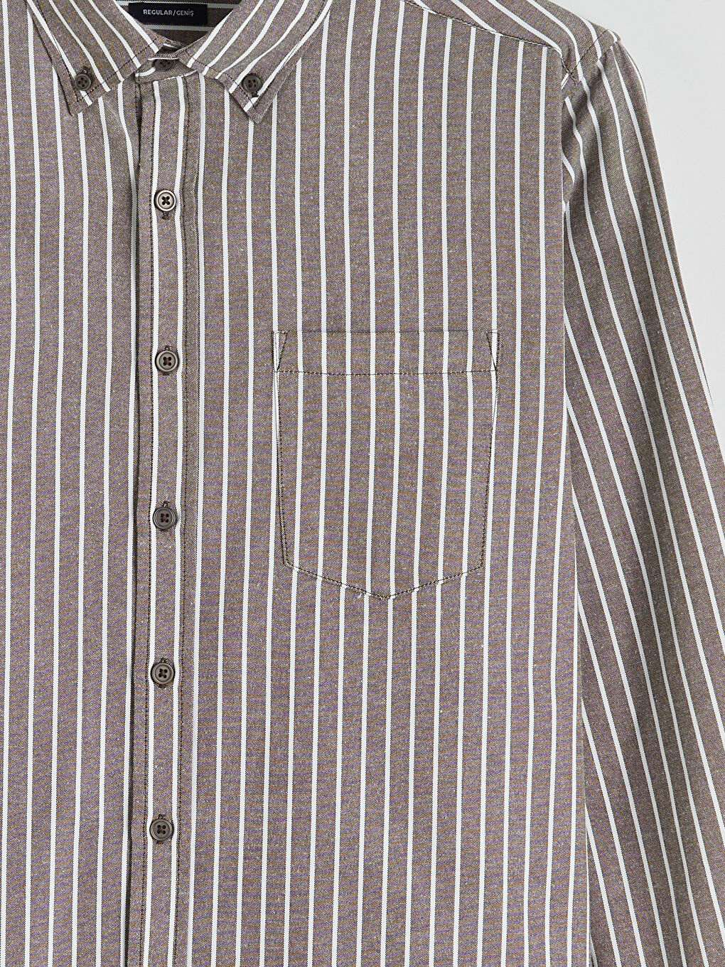 Regular Fit Striped Oxford Men's Shirt-5