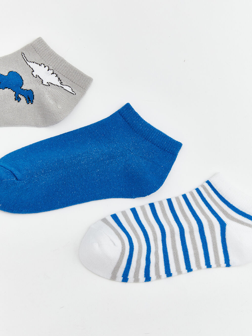 گۆرەوی ڕاهێنەر خۆڵه‌مێشی کوڕ-1