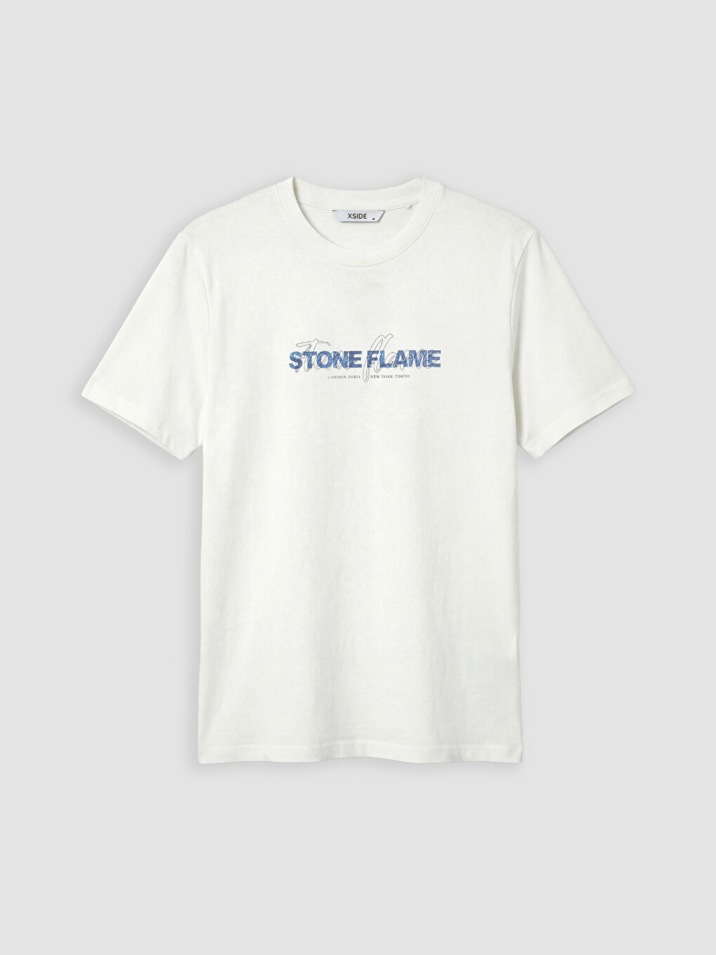 Regular Fit Crew Neck Men's Printed T-shirt-4