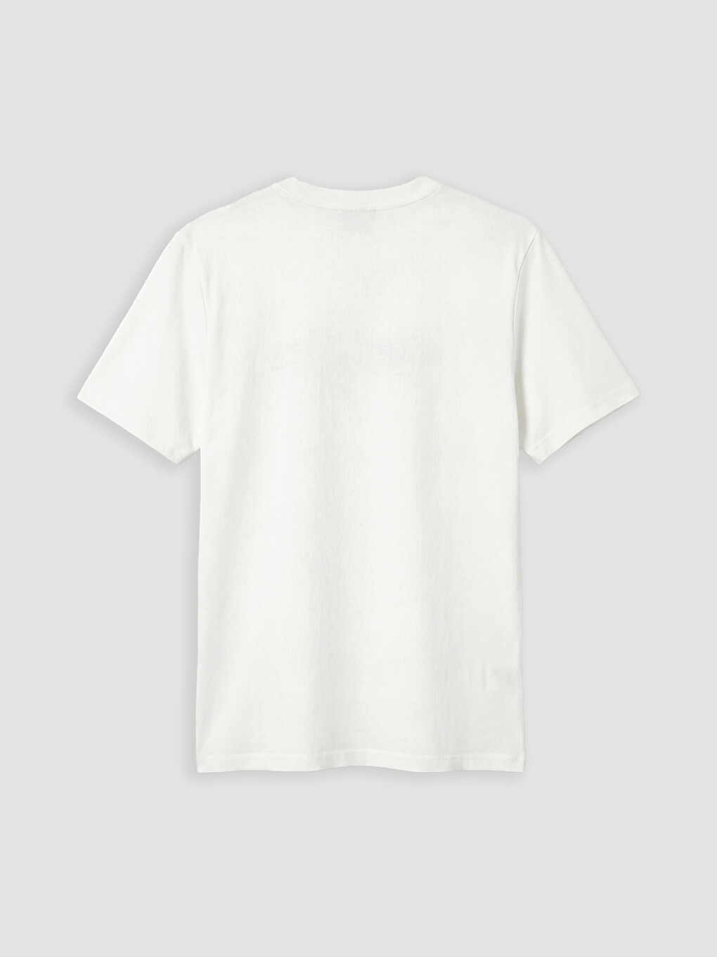 Regular Fit Crew Neck Men's Printed T-shirt-5