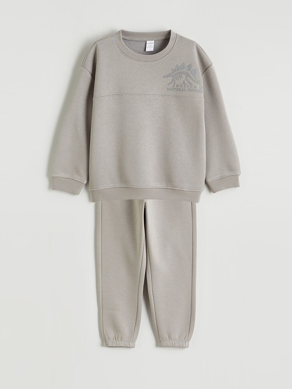 Printed Sweatshirt and Trousers for Boys