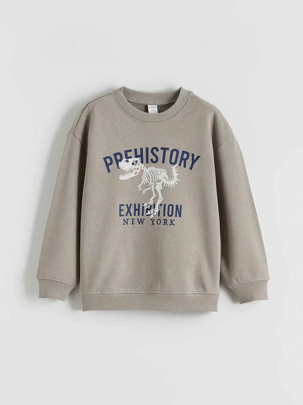 Baskılı Erkek Çocuk Sweatshirt 2'li-1