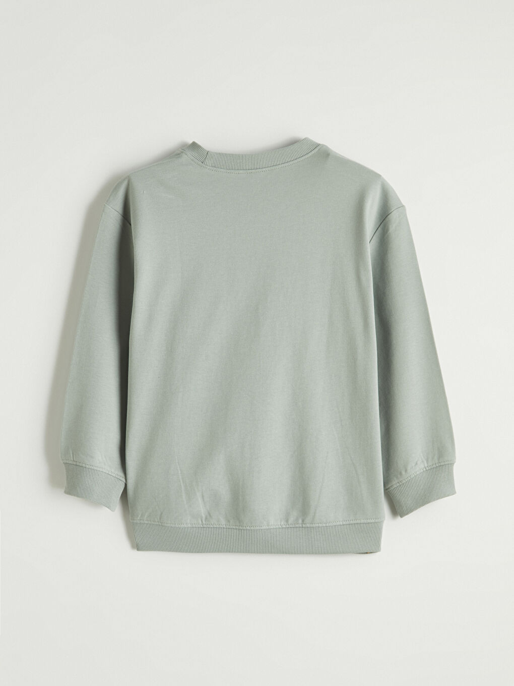 ZELENA Dukserica Dečak-2