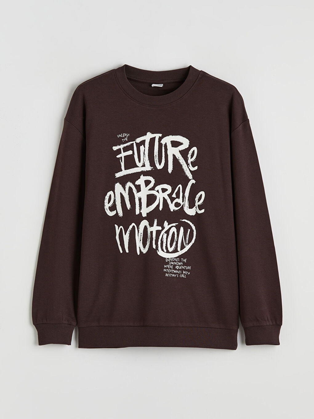 Boy BROWN Sweatshirt