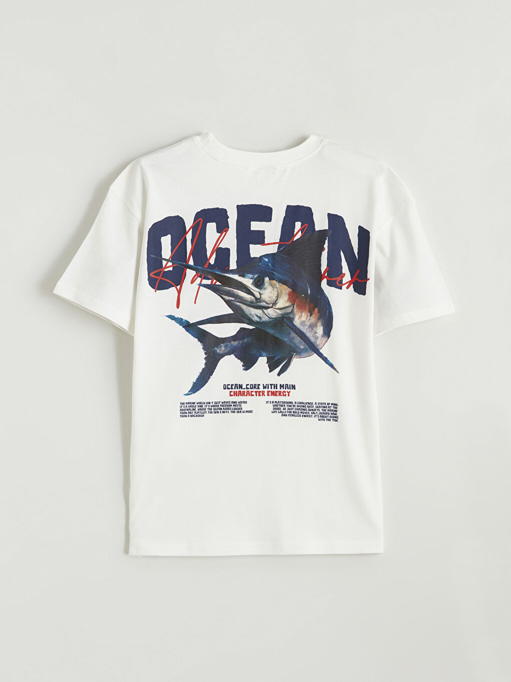 Crew Neck Printed Boys' T-Shirt-3