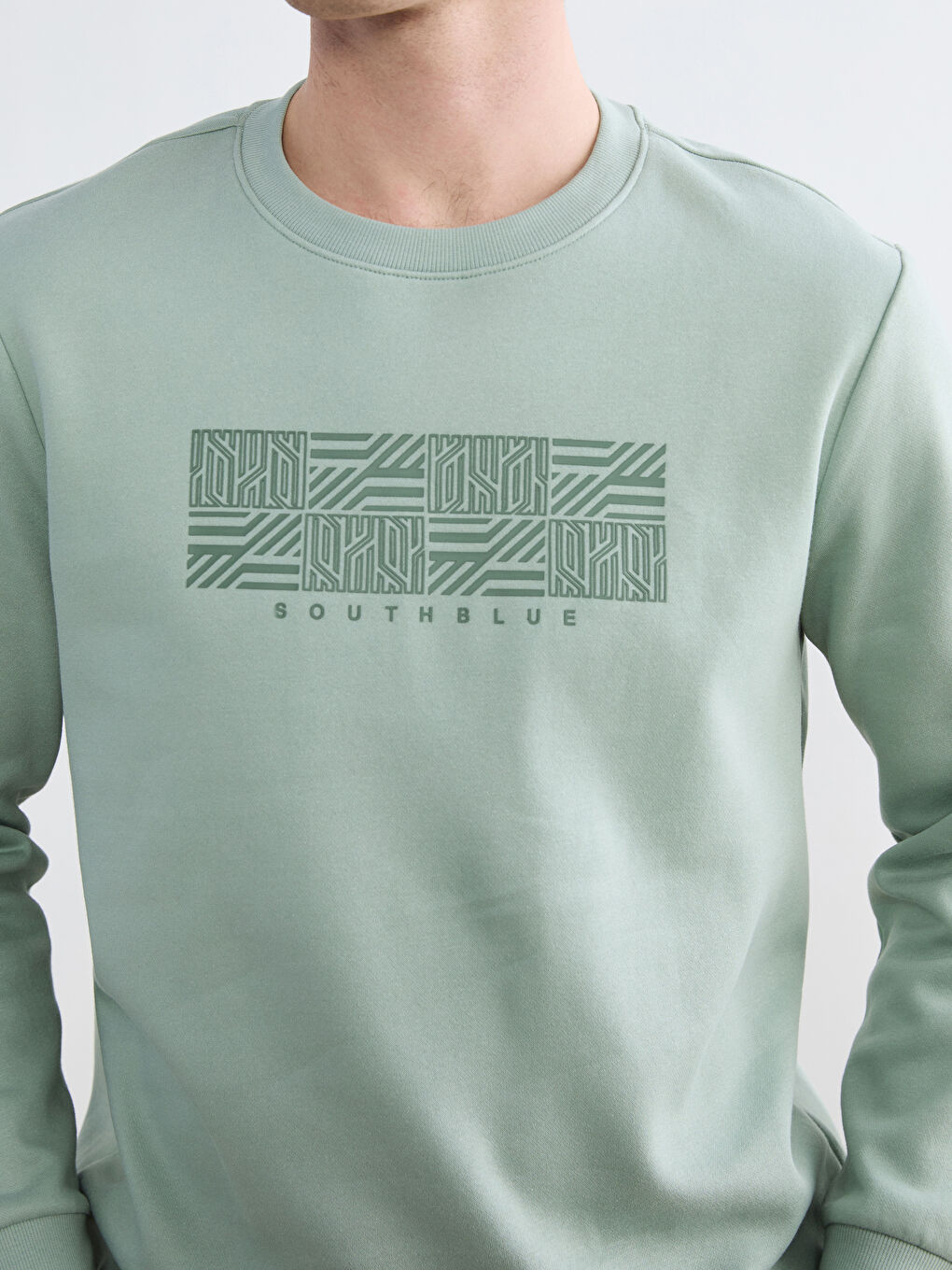 Men's Crew Neck Printed Heavy Sweatshirt-2