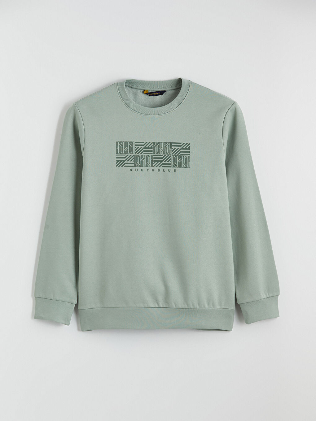 Men's Crew Neck Printed Heavy Sweatshirt-4