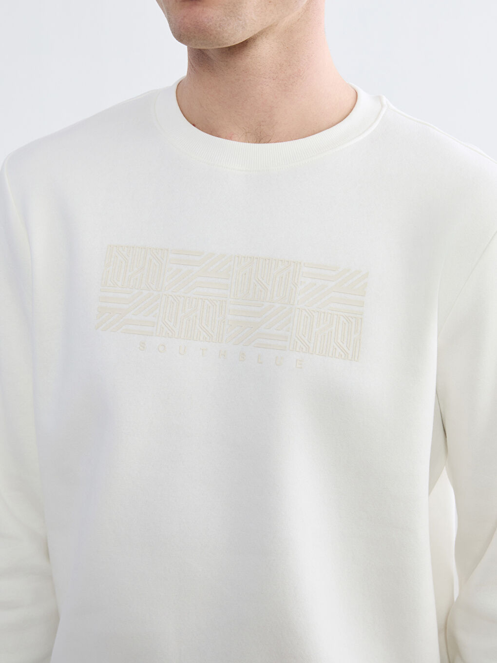 Men's Crew Neck Printed Heavy Sweatshirt-2