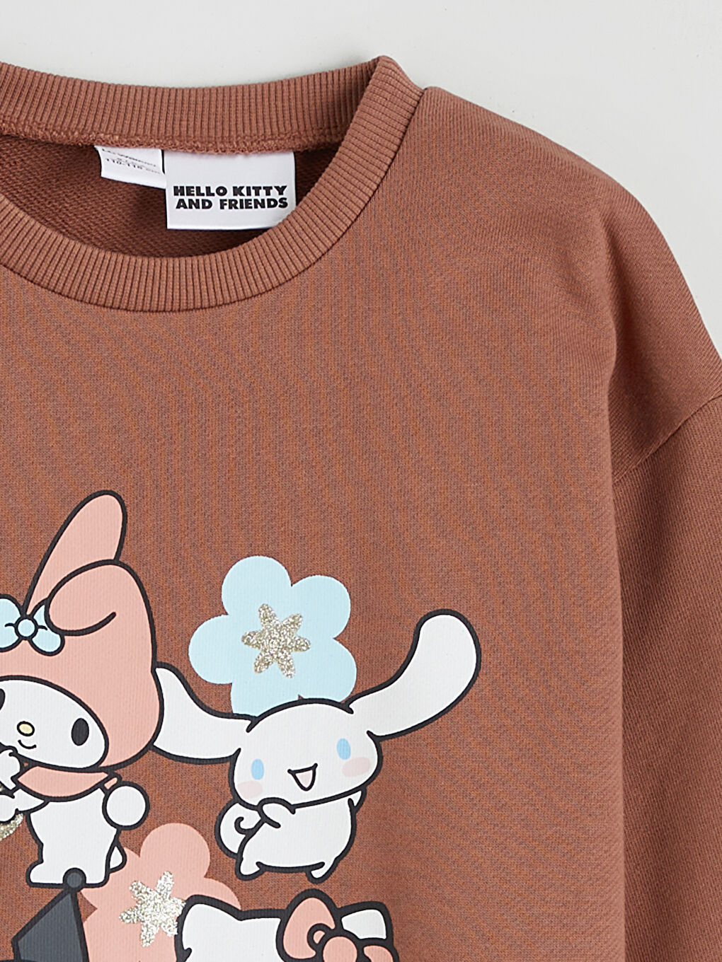 Girl BROWN Sweatshirt-1