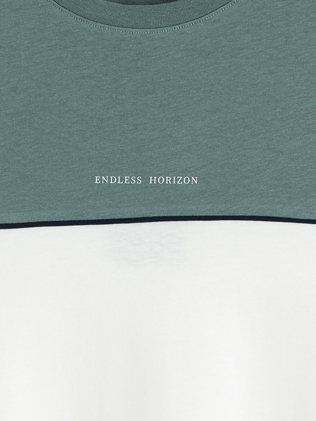 Bisiklet Yaka Renk Bloklu Penye Erkek Tişört-5