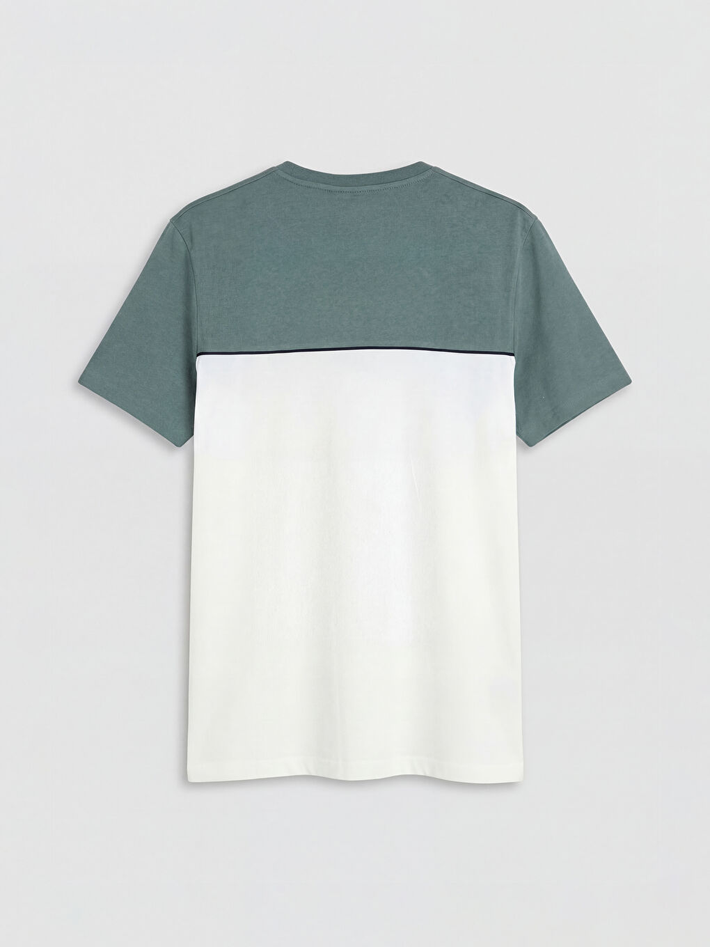 Bisiklet Yaka Renk Bloklu Penye Erkek Tişört-6