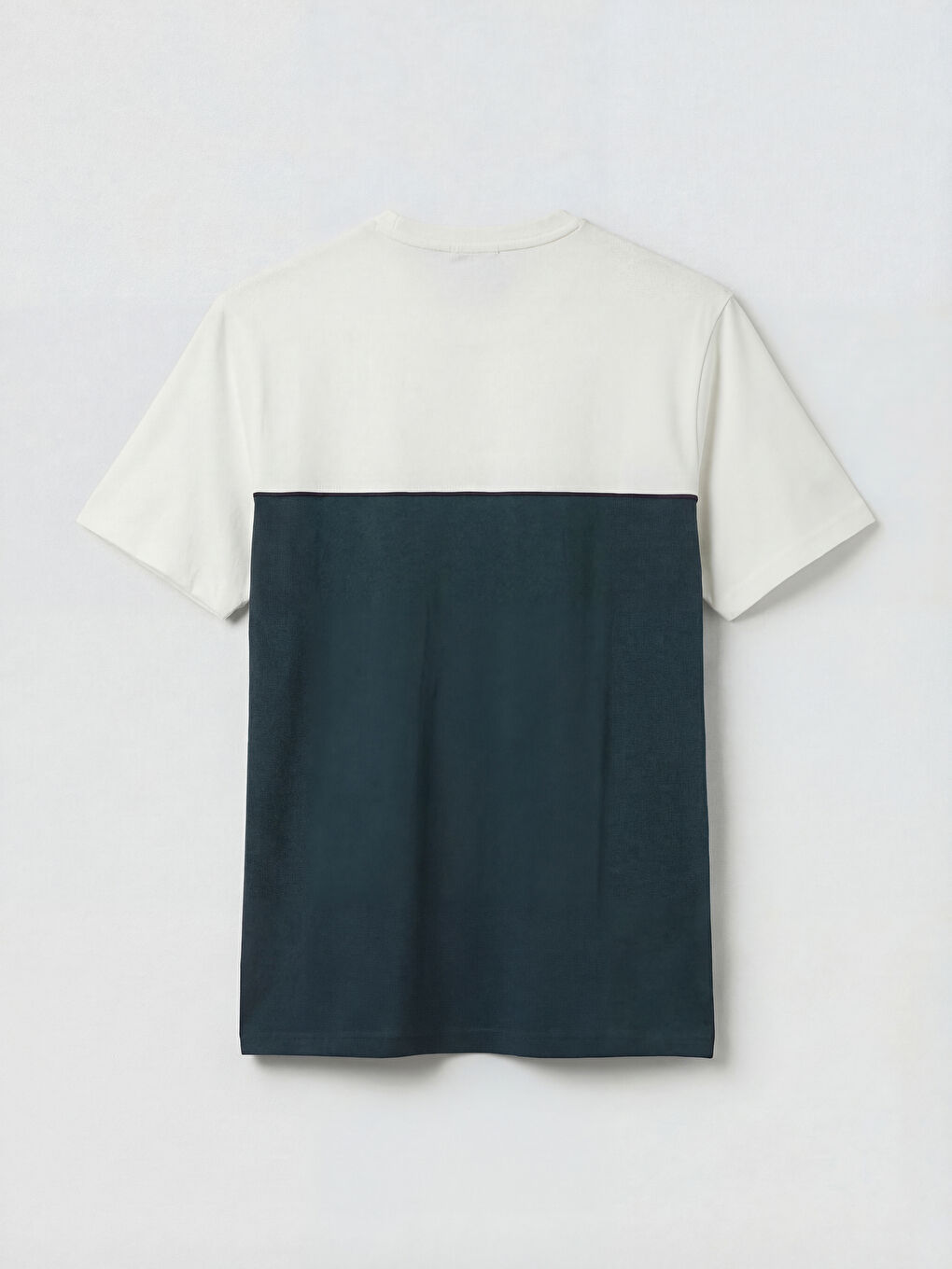 Bisiklet Yaka Renk Bloklu Penye Erkek Tişört-5