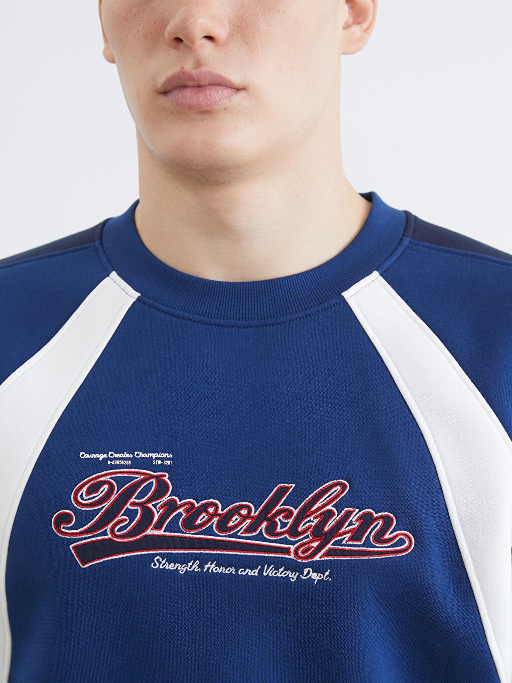 Lacivert Bisiklet Yaka Baskılı Erkek Kalın Sweatshirt-2