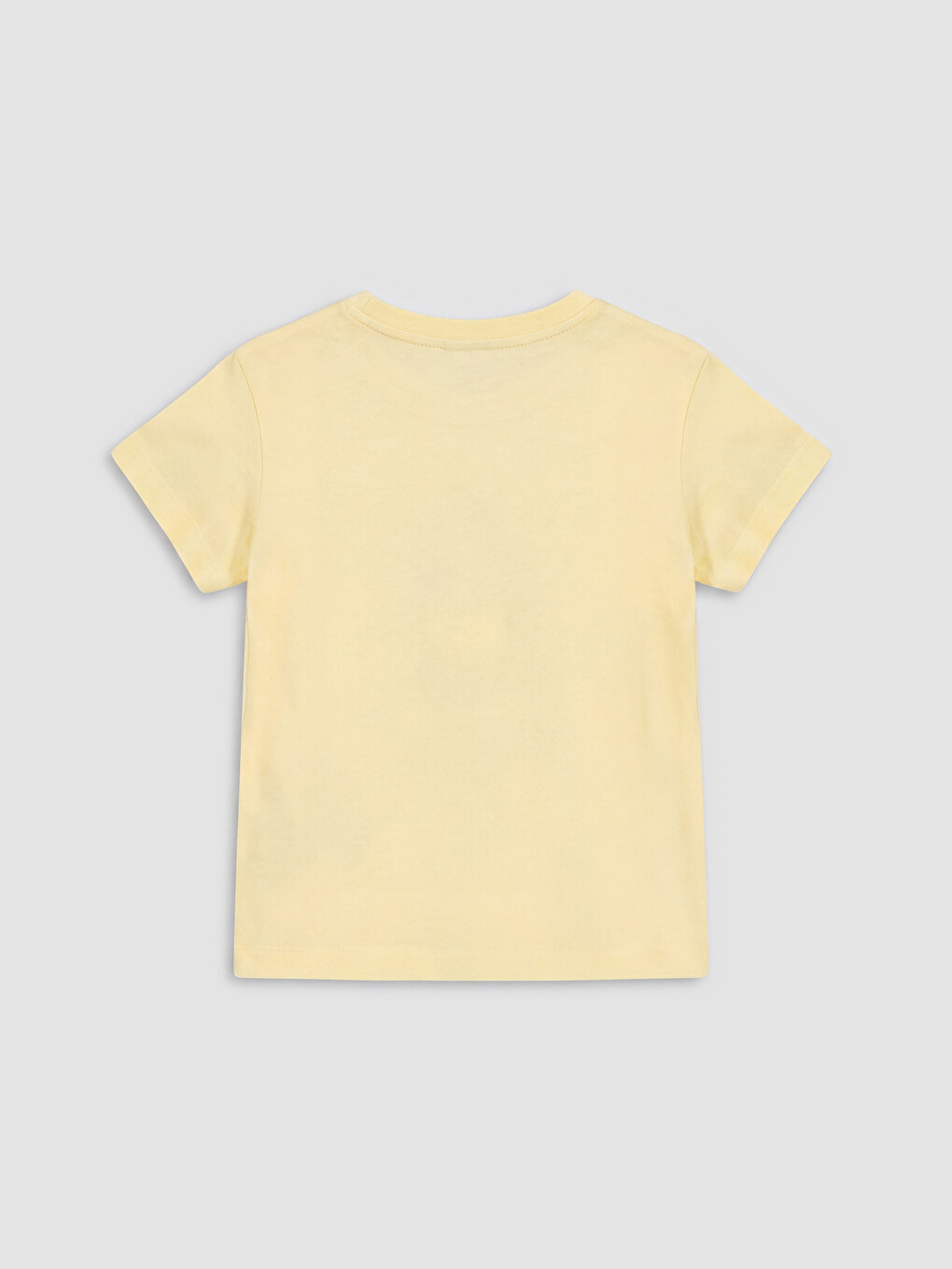 Crew Neck Printed Girls' 2 Pack T-Shirt-4