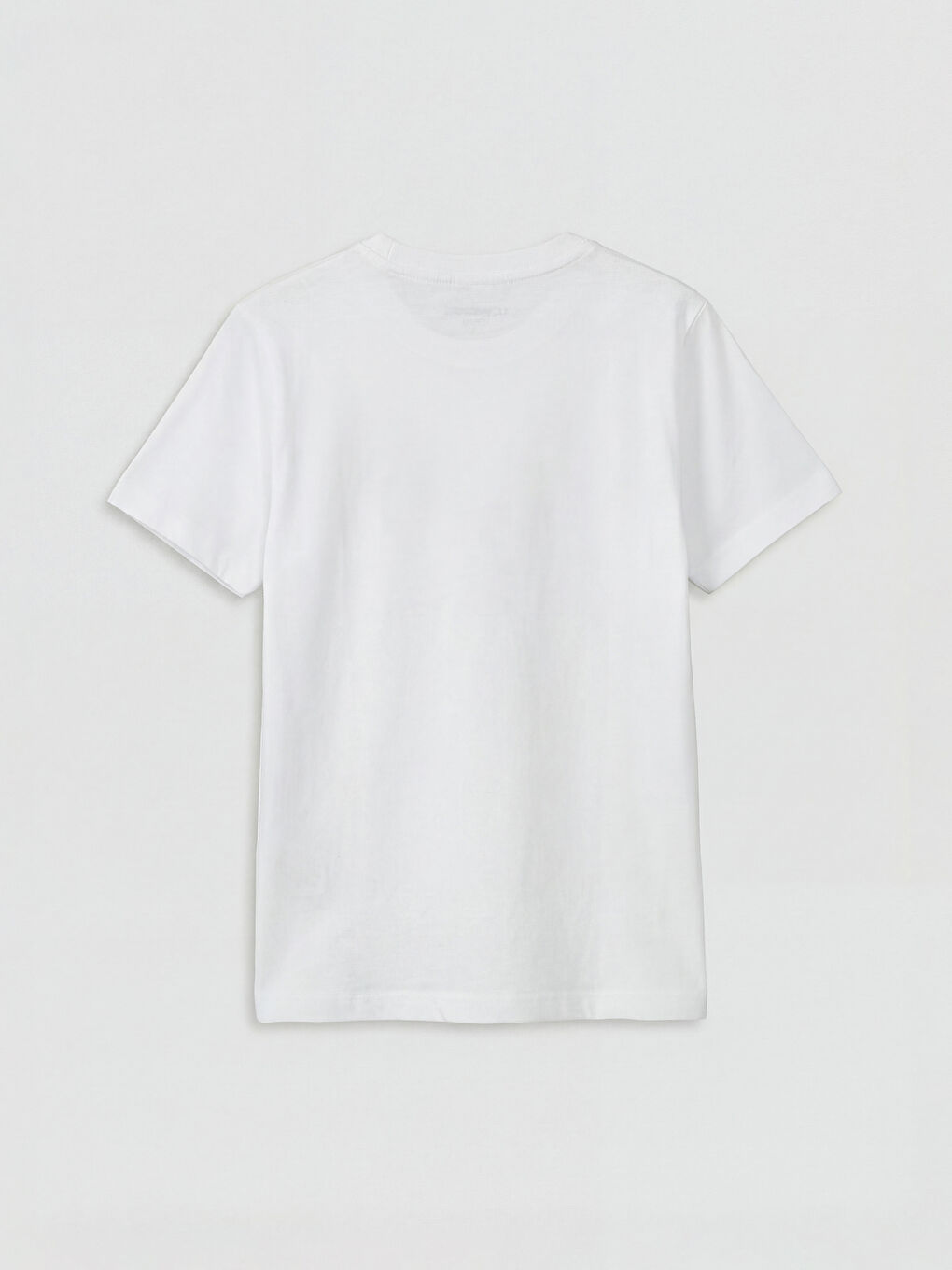 Beyaz Bisiklet Yaka Dinozor Baskılı Erkek Çocuk Tişört-1