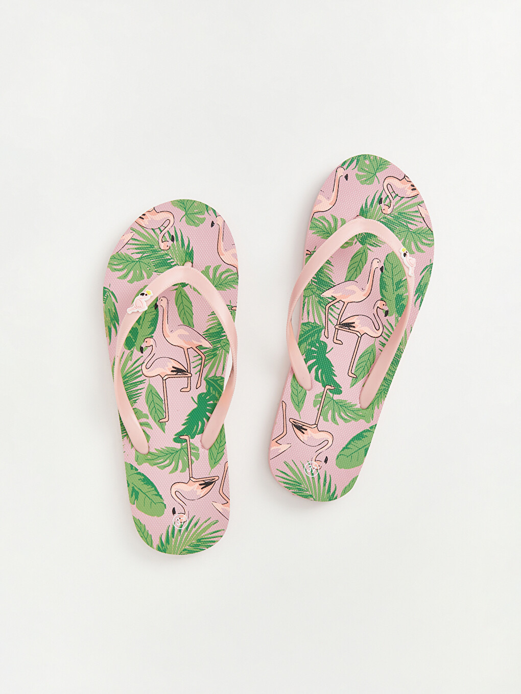 Flamingo Printed Women's Flip Flops-2