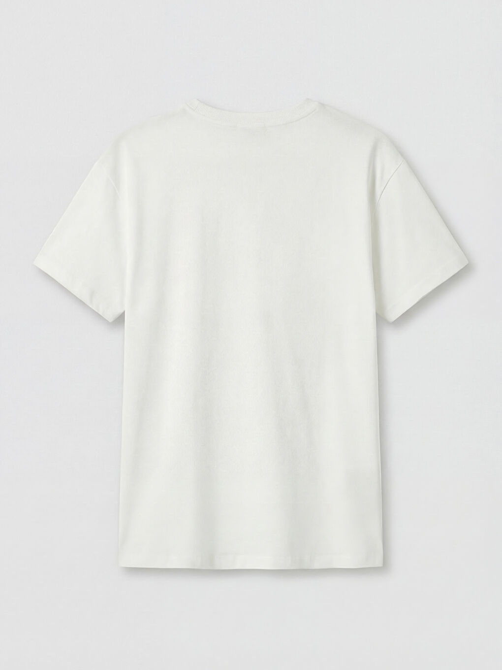 Ekru Bisiklet Yaka Nakış Detaylı Kadın Tişört-1