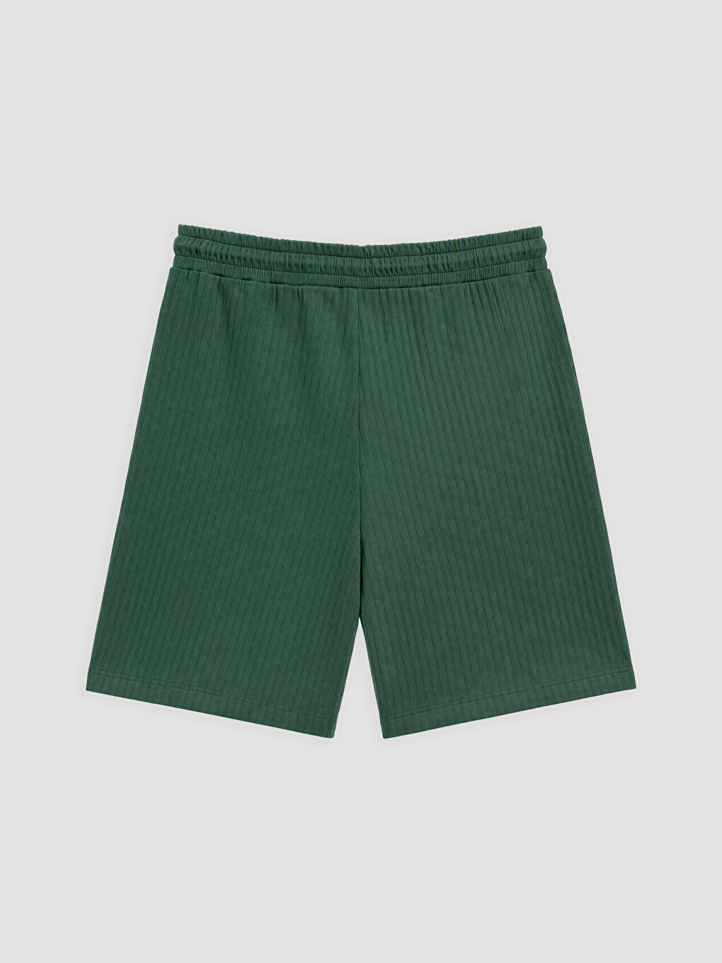 Regular Fit Jakar Erkek Şort-1