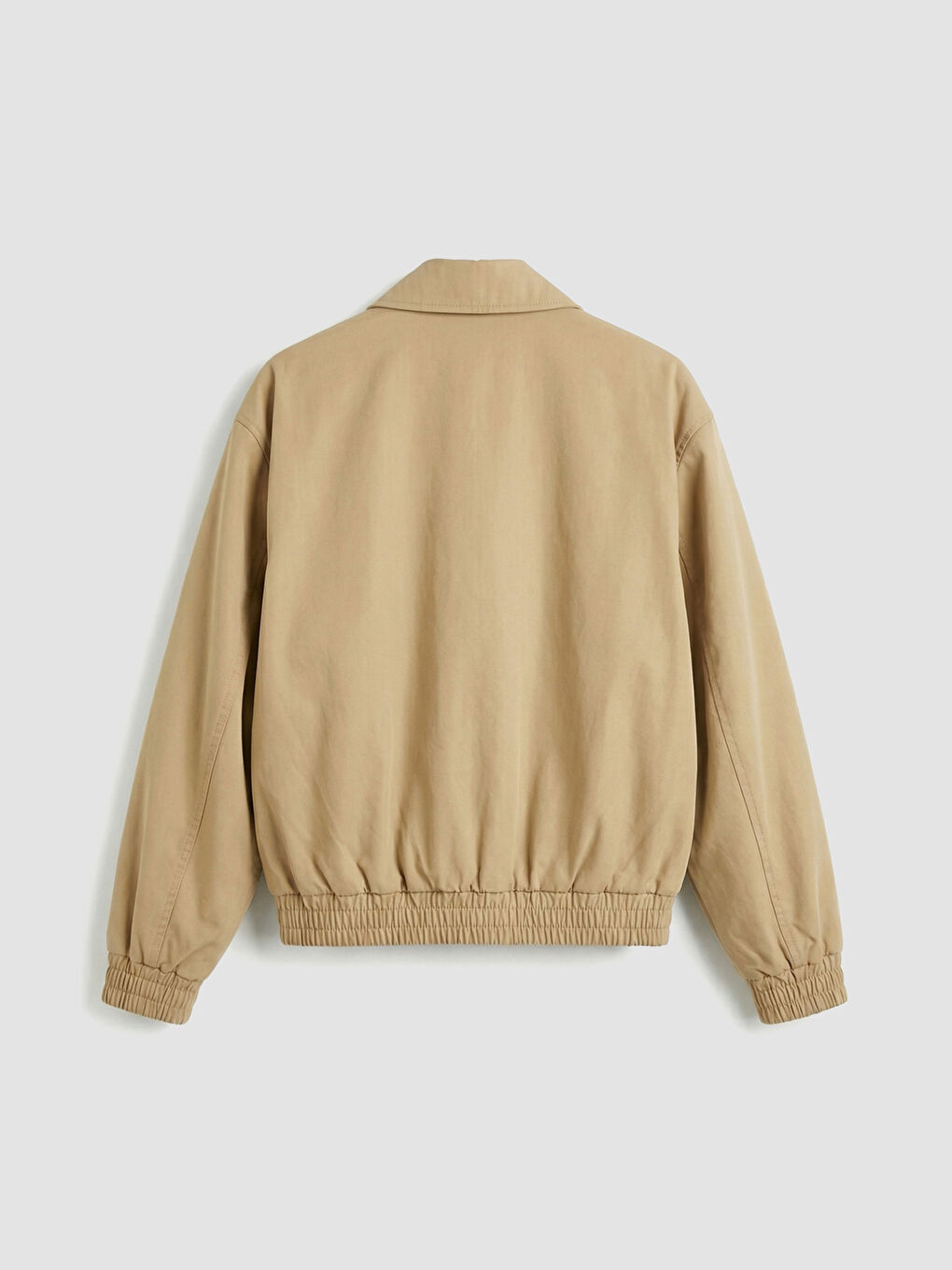 Dik Yaka Kadın Trençkot-8