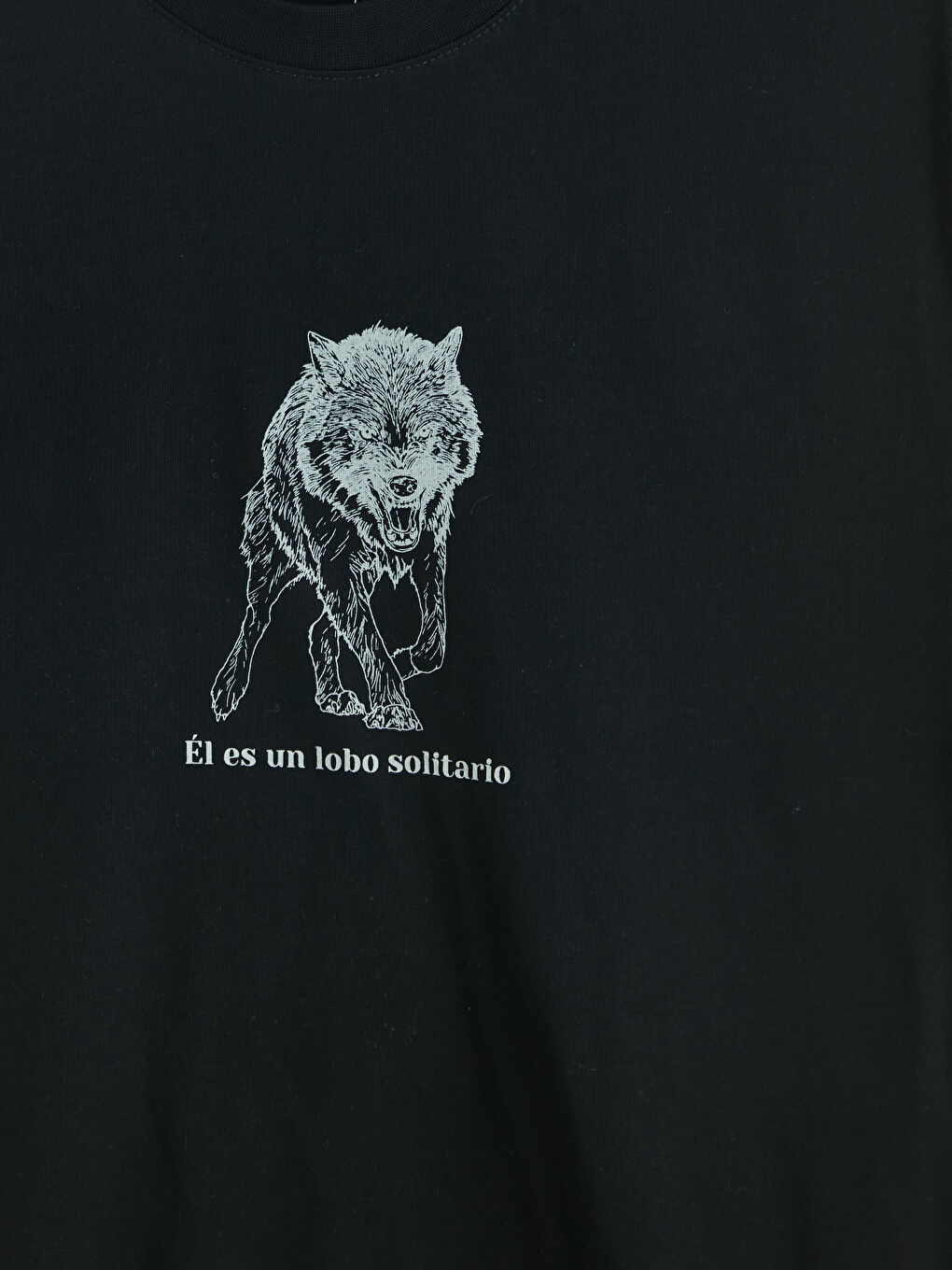 Siyah Bisiklet Yaka Baskılı Erkek Tişört-2