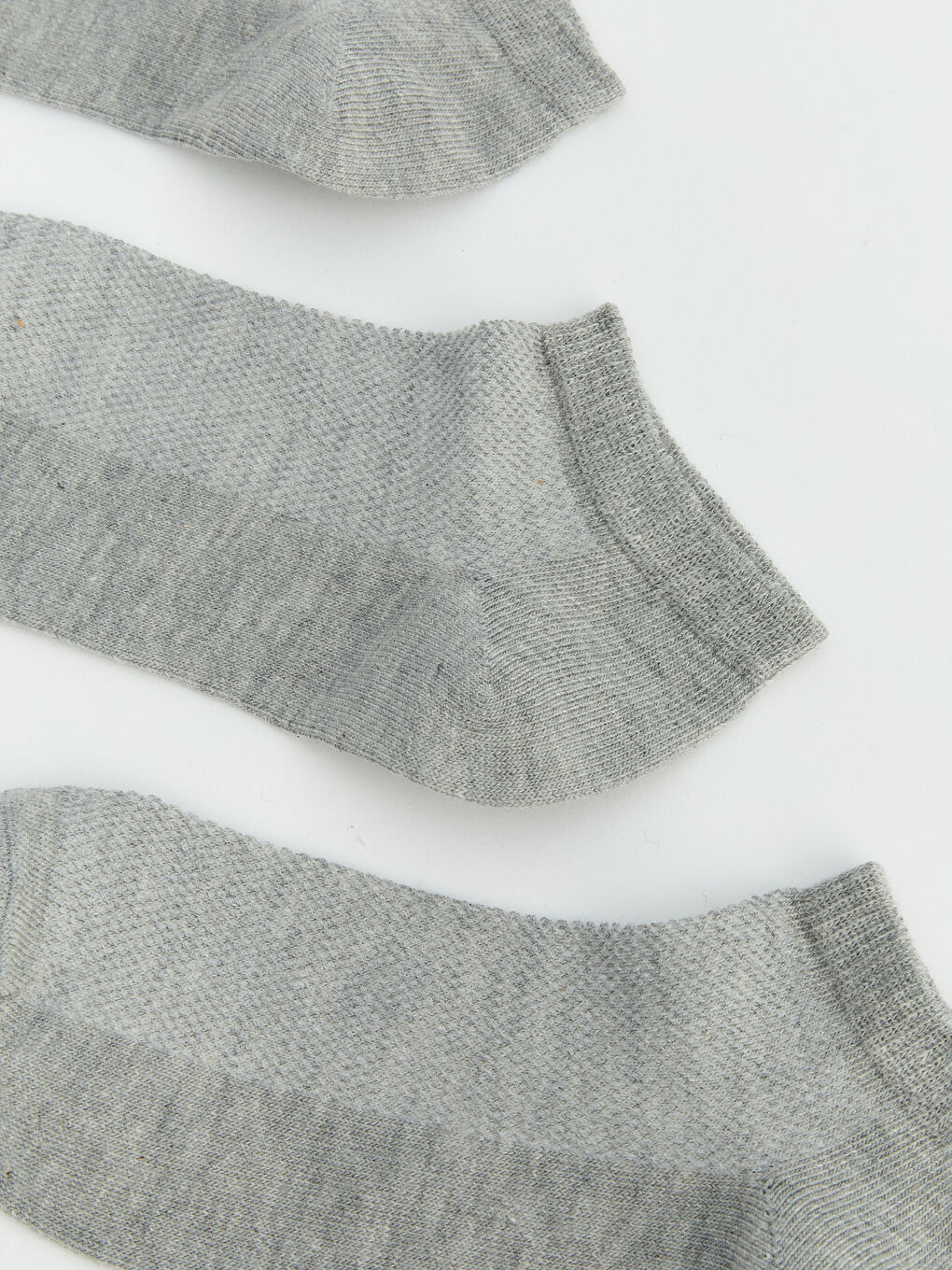 گۆرەوی ڕاهێنەر خۆڵه‌مێشی ژن-1